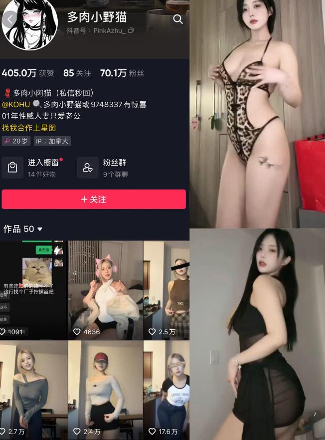 多肉小野猫 – 微密圈写真合集【持续更新中】001期-064期图册整合