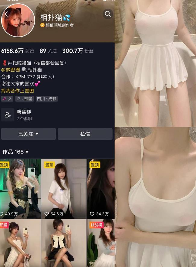 相扑猫 – 微密圈写真合集【持续更新中】001期-038期图册整合